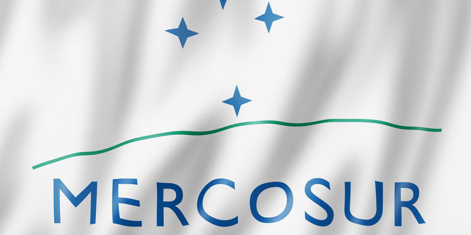 Mercosur flag